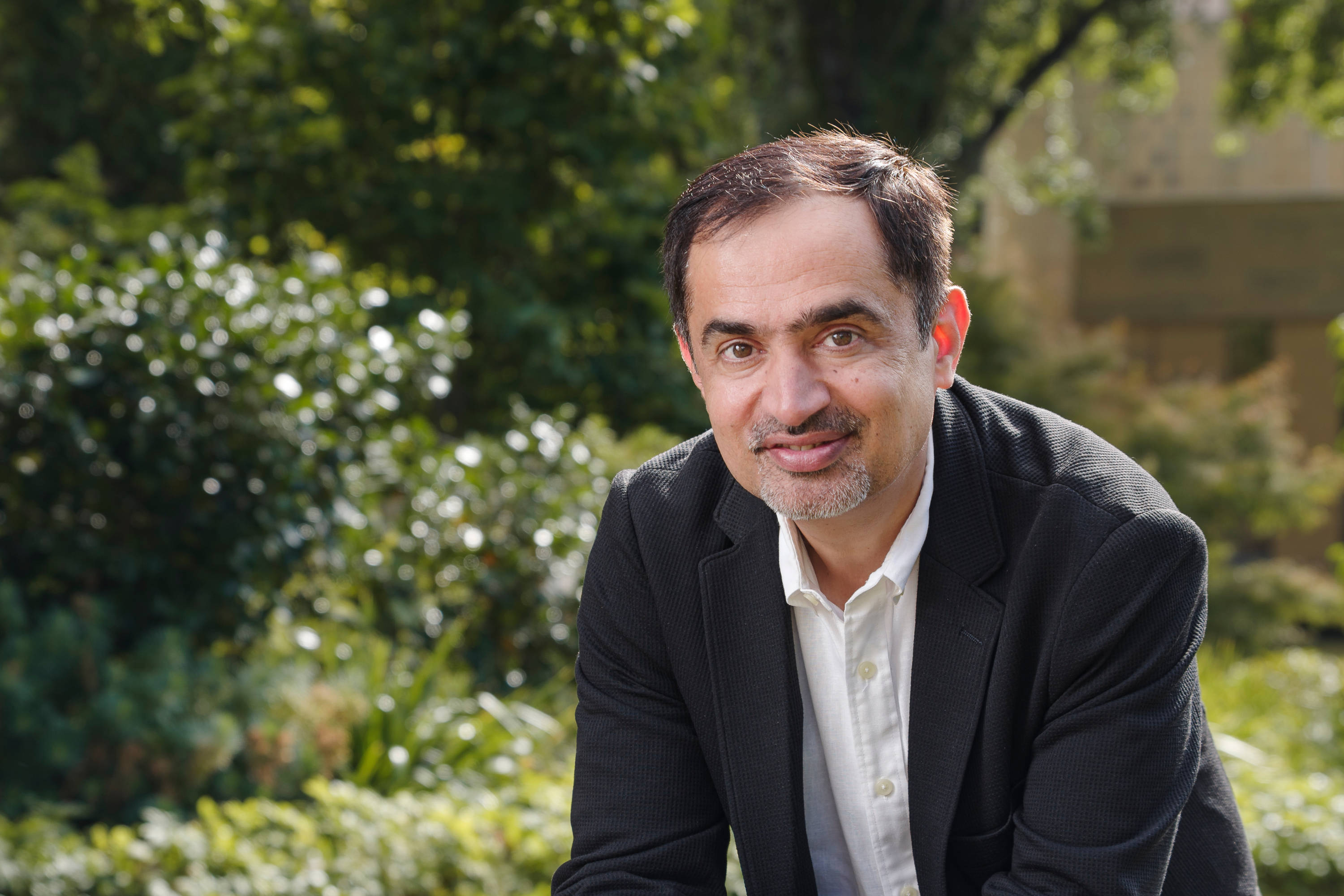 Ali Rizvi, Principal Consultant